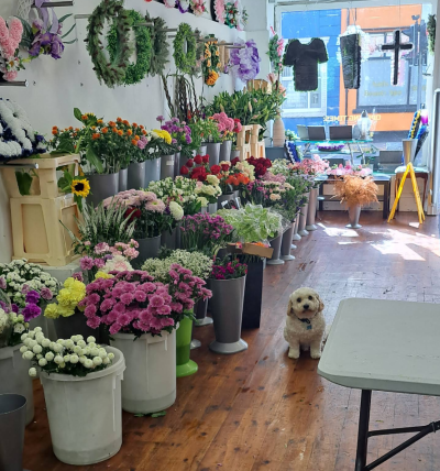 Florist Choice - Our Florist’s Choice option is perfect when you’d like us to create something truly special on your behalf. Simply choose your budget and occasion, and our experienced florists will design a beautiful, one-of-a-kind arrangement using the freshest seasonal flowers available. It’s a great way to enjoy a unique bouquet, thoughtfully arranged with creativity and care.